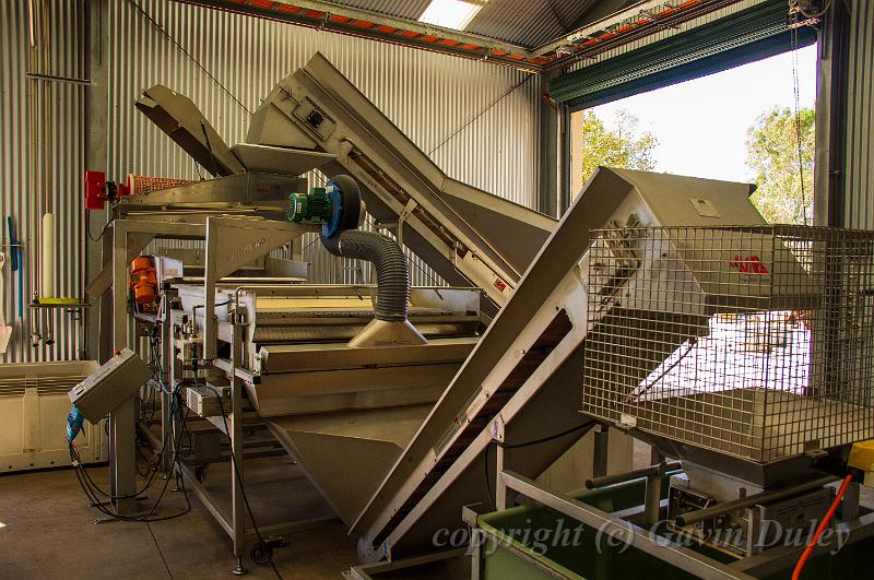 Grape sorting machine, Yangarra IMGP8784.jpg